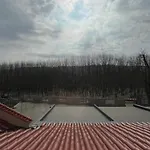 Hotel Kompleks Koral 2*